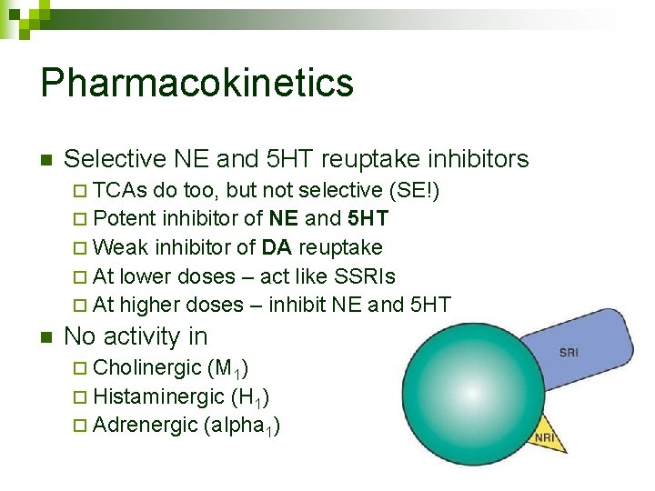 Pharmacokinetics n Selective NE and 5 HT reuptake inhibitors ¨ TCAs do too, but