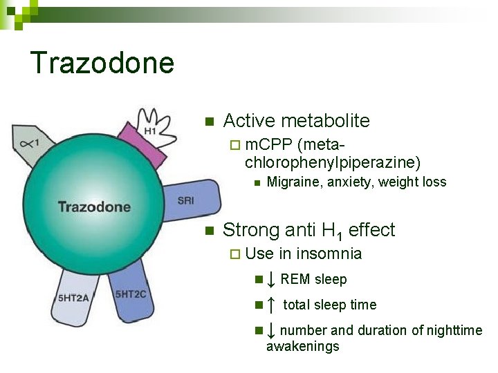 Trazodone n Active metabolite ¨ m. CPP (metachlorophenylpiperazine) n n Migraine, anxiety, weight loss