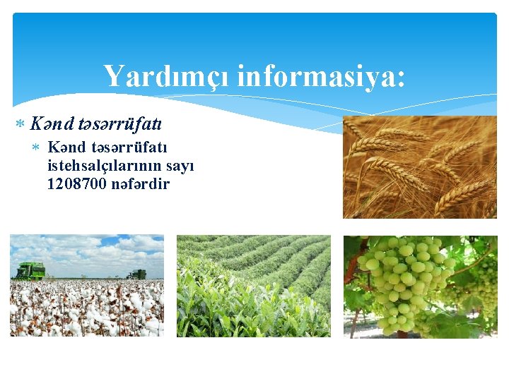 Yardımçı informasiya: Kənd təsərrüfatı istehsalçılarının sayı 1208700 nəfərdir 
