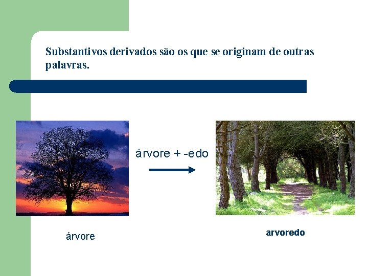 Substantivos derivados são os que se originam de outras palavras. árvore + -edo árvore