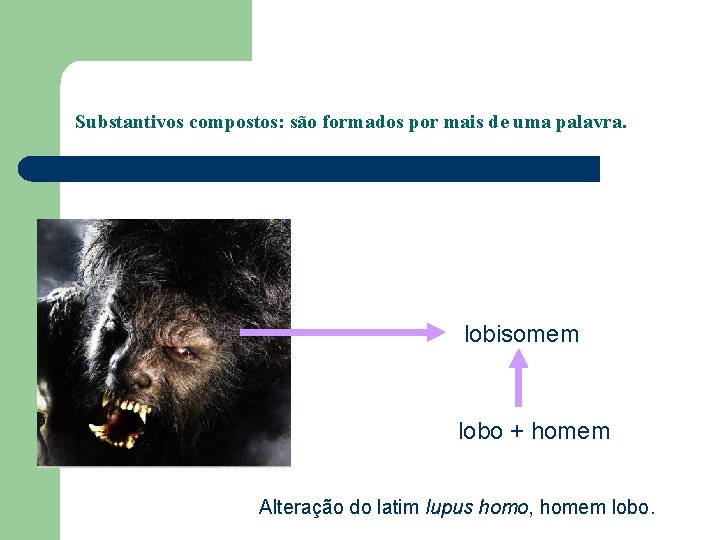 Substantivos compostos: são formados por mais de uma palavra. lobisomem lobo + homem Alteração