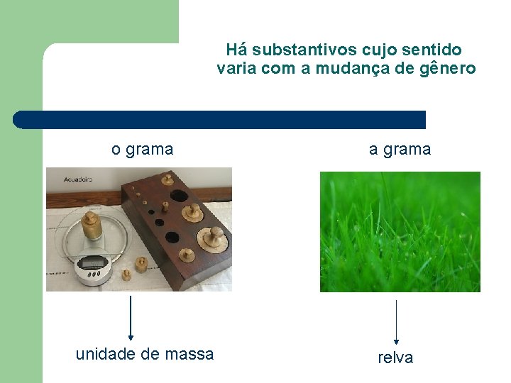 Há substantivos cujo sentido varia com a mudança de gênero o grama a grama