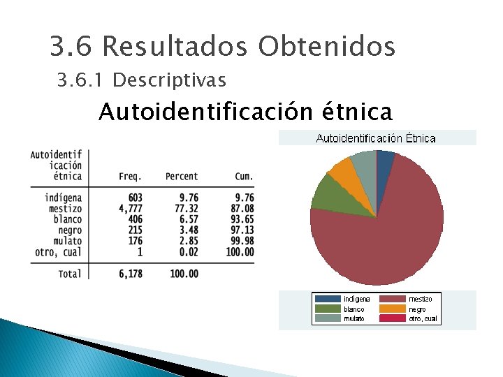 3. 6 Resultados Obtenidos 3. 6. 1 Descriptivas Autoidentificación étnica 