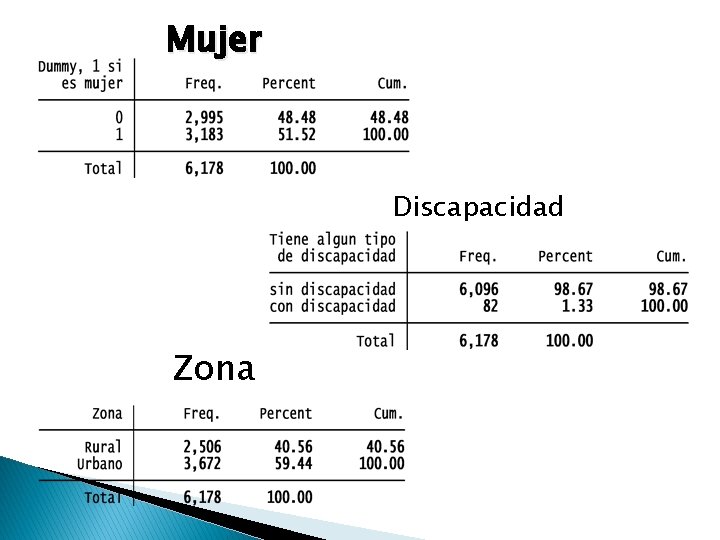 Mujer Discapacidad Zona 