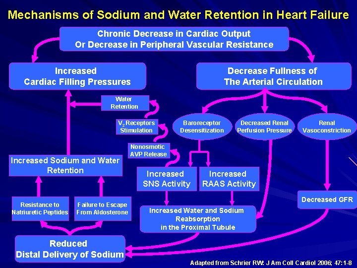 Mechanisms Of Sodium And Water Retention In Heart