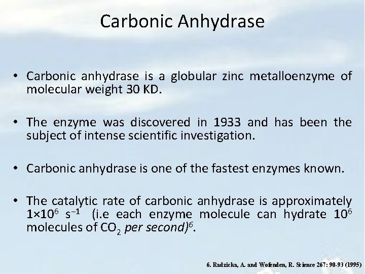 Carbonic Anhydrase • Carbonic anhydrase is a globular zinc metalloenzyme of molecular weight 30