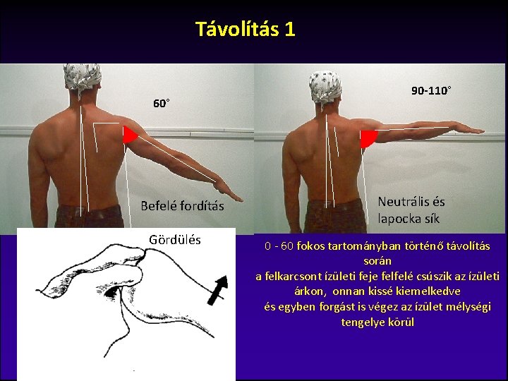 Távolítás 1 60° Befelé fordítás Gördülés 90 -110° Neutrális és lapocka sík 0 -