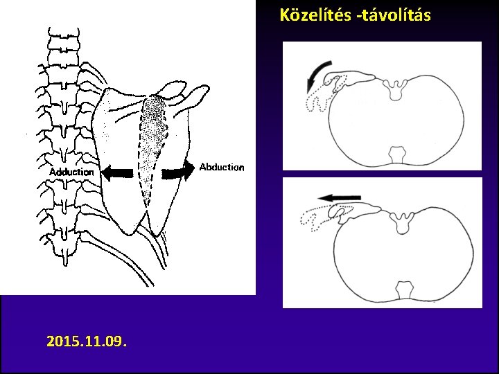 Közelítés -távolítás 2015. 11. 09. 