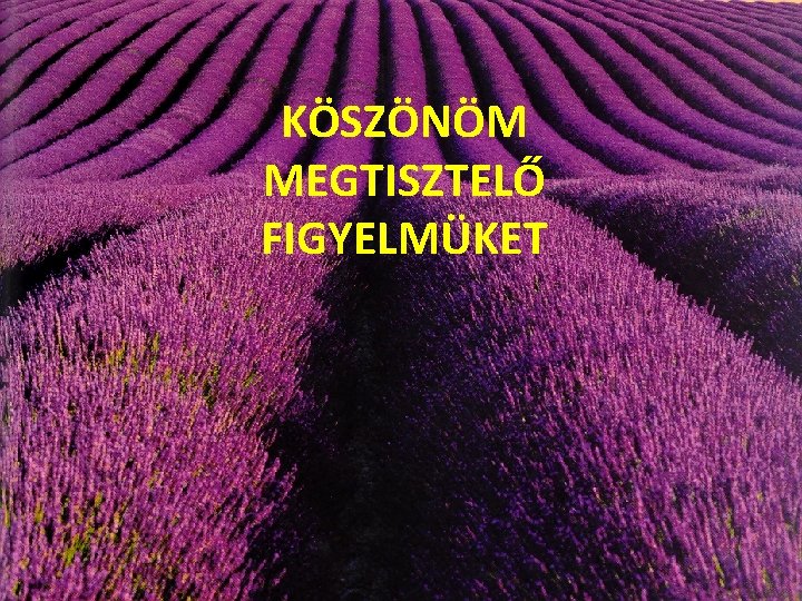 KÖSZÖNÖM MEGTISZTELŐ FIGYELMÜKET 