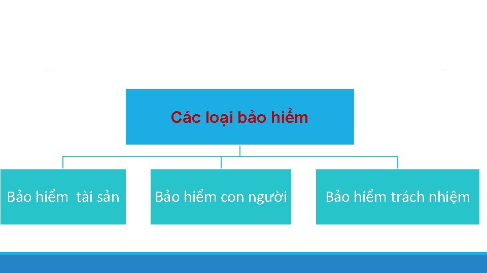 Các loại bảo hiểm Bảo hiểm tài sản Bảo hiểm con người Bảo hiểm