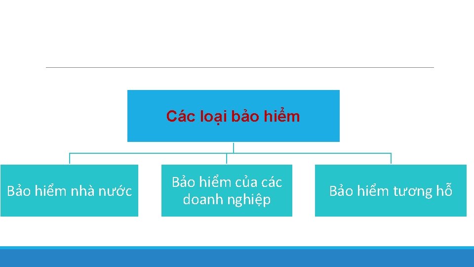 Các loại bảo hiểm Bảo hiểm nhà nước Bảo hiểm của các doanh nghiệp