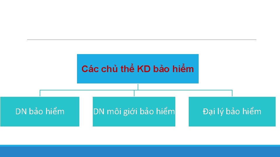 Các chủ thể KD bảo hiểm DN môi giới bảo hiểm Đại lý bảo