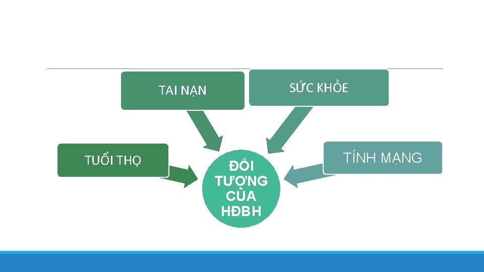 SỨC KHỎE TAI NẠN TUỔI THỌ ĐỐI TƯỢNG CỦA HĐBH TÍNH MẠNG 