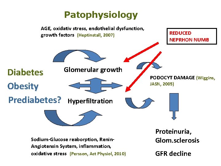 Patophysiology AGE, oxidativ stress, endothelial dysfunction, growth factors (Heptinstall, 2007) Glomerular growth Diabetes Obesity