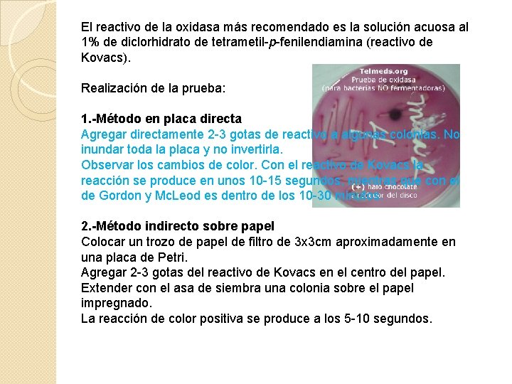 El reactivo de la oxidasa más recomendado es la solución acuosa al 1% de