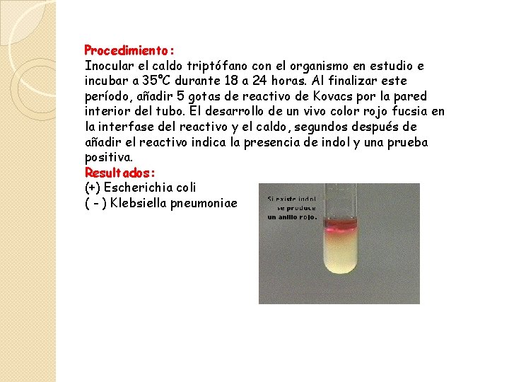 Procedimiento: Inocular el caldo triptófano con el organismo en estudio e incubar a 35°C