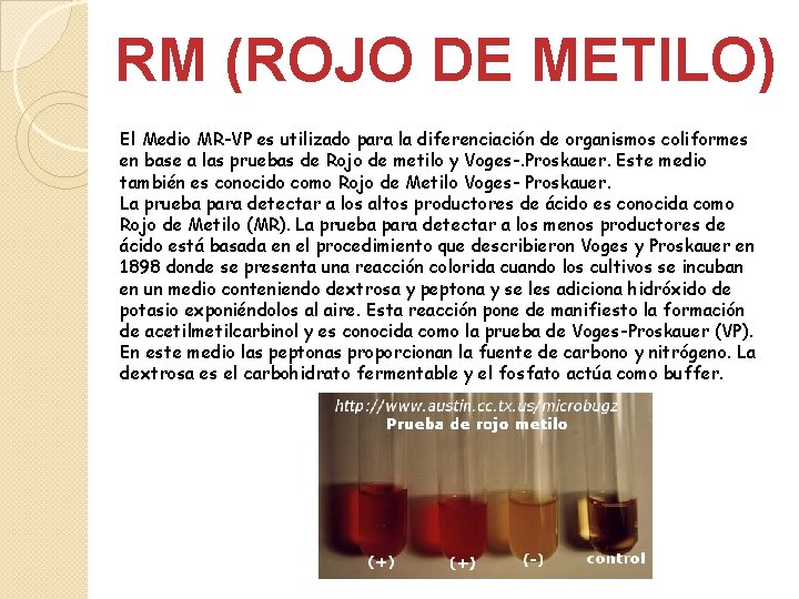 RM (ROJO DE METILO) El Medio MR-VP es utilizado para la diferenciación de organismos