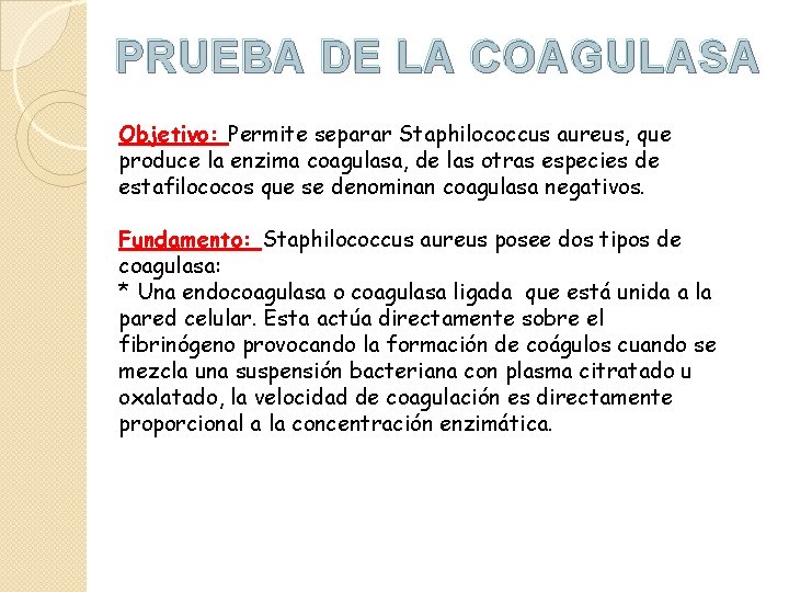 PRUEBA DE LA COAGULASA Objetivo: Permite separar Staphilococcus aureus, que produce la enzima coagulasa,