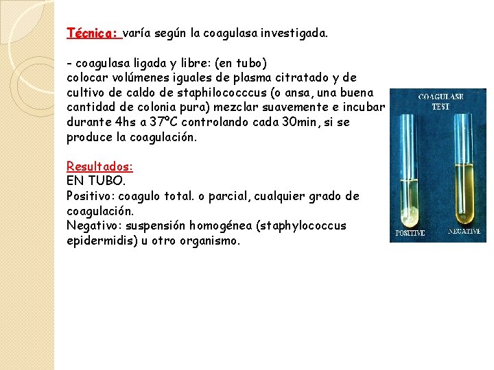 Técnica: varía según la coagulasa investigada. - coagulasa ligada y libre: (en tubo) colocar