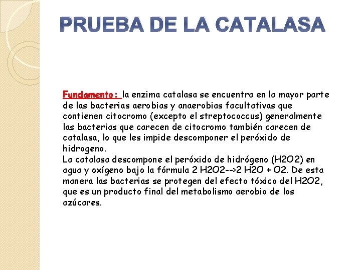 PRUEBA DE LA CATALASA Fundamento: la enzima catalasa se encuentra en la mayor parte