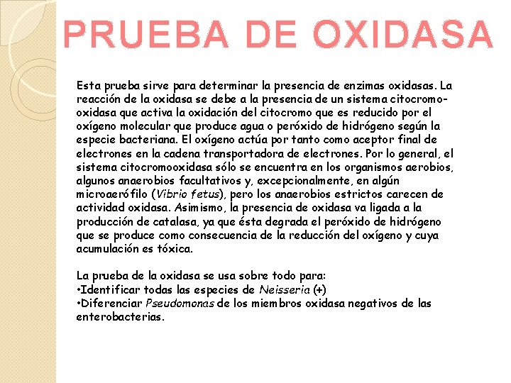 PRUEBA DE OXIDASA Esta prueba sirve para determinar la presencia de enzimas oxidasas. La