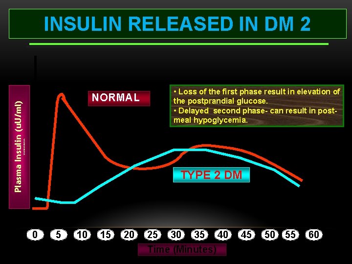 NORMAL • Loss of the first phase result in elevation of the postprandial glucose.