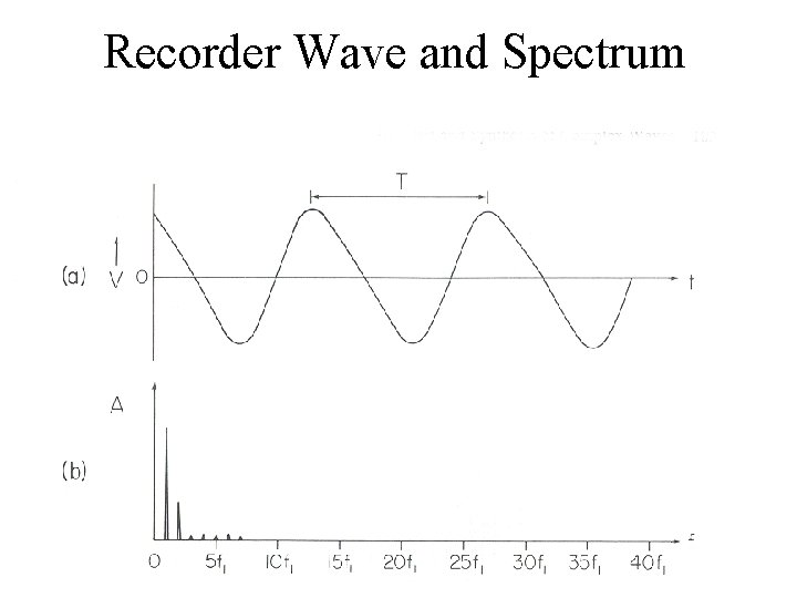 Recorder Wave and Spectrum 
