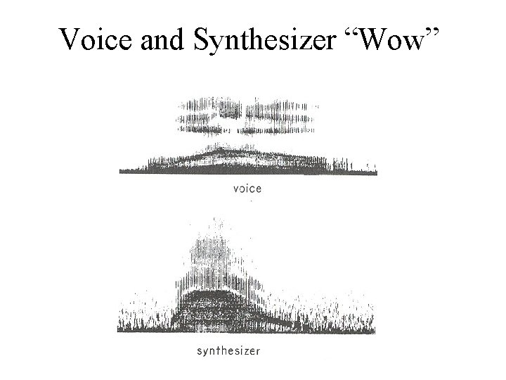 Voice and Synthesizer “Wow” 