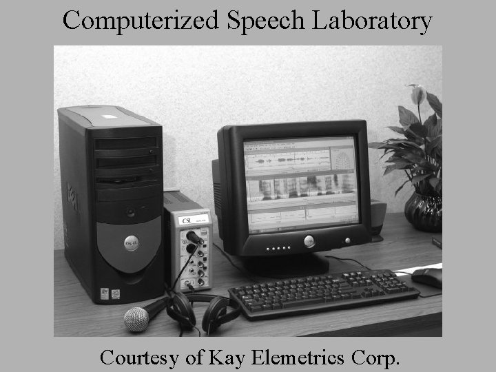 Computerized Speech Laboratory Courtesy of Kay Elemetrics Corp. 