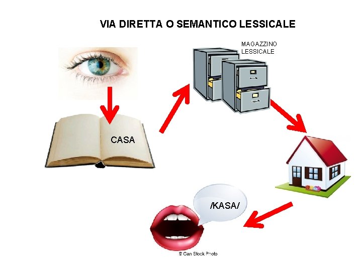 VIA DIRETTA O SEMANTICO LESSICALE MAGAZZINO LESSICALE CASA /KASA/ 