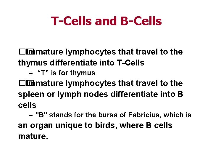 T-Cells and B-Cells �� Immature lymphocytes that travel to the thymus differentiate into T-Cells