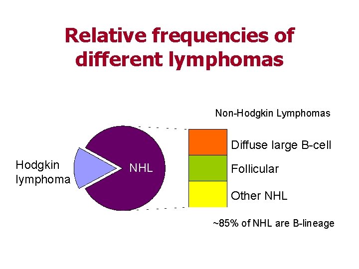 Relative frequencies of different lymphomas Non-Hodgkin Lymphomas Diffuse large B-cell Hodgkin lymphoma NHL Follicular