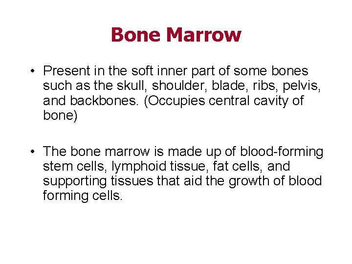 Bone Marrow • Present in the soft inner part of some bones such as