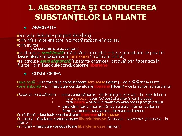 1. ABSORBŢIA ŞI CONDUCEREA SUBSTANŢELOR LA PLANTE ABSORBŢIA nla nivelul rădăcinii – prin perii