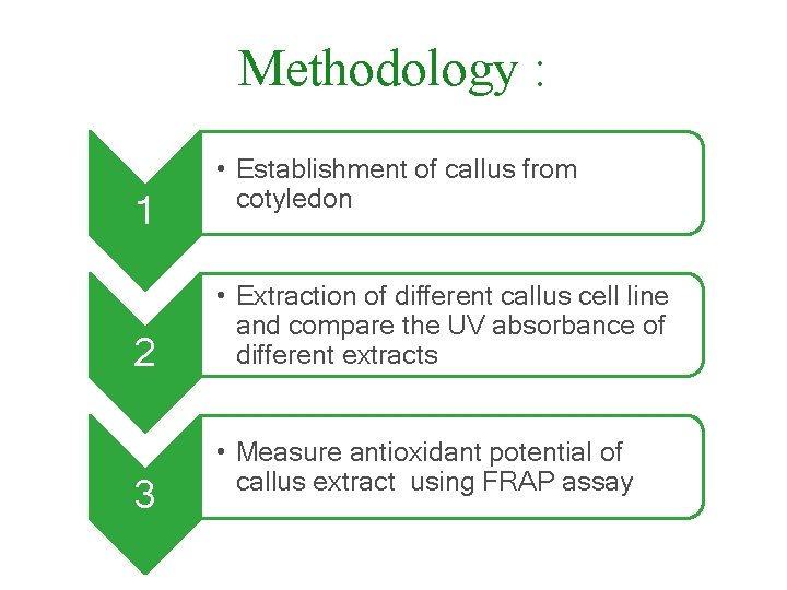 Methodology : 1 2 3 • Establishment of callus from cotyledon • Extraction of