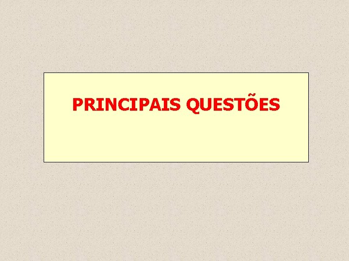 PRINCIPAIS QUESTÕES 