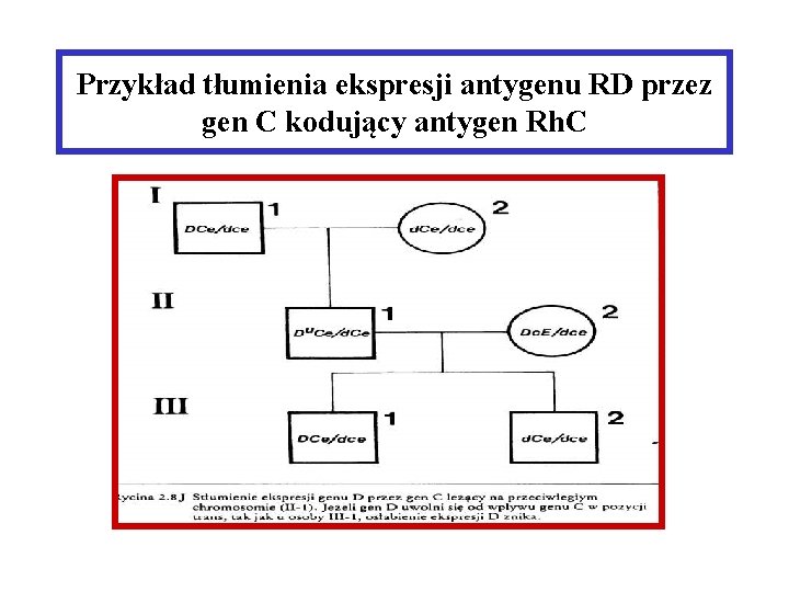 Przykład tłumienia ekspresji antygenu RD przez gen C kodujący antygen Rh. C 