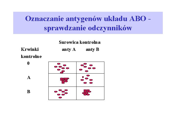 Oznaczanie antygenów układu ABO sprawdzanie odczynników Surowica kontrolna Krwinki anty A anty B kontrolne