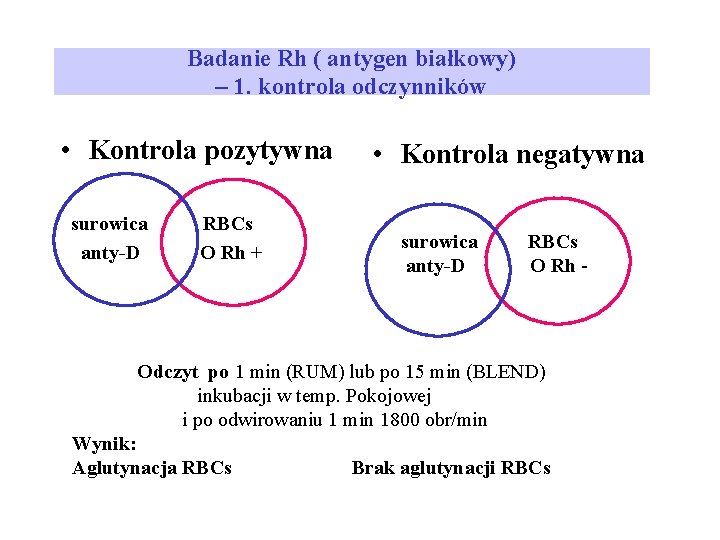 Badanie Rh ( antygen białkowy) – 1. kontrola odczynników • Kontrola pozytywna surowica RBCs