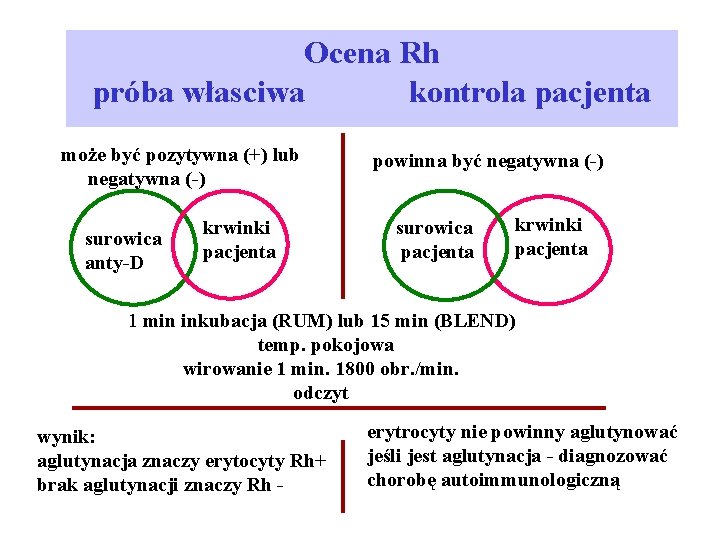 Ocena Rh próba własciwa kontrola pacjenta może być pozytywna (+) lub powinna być negatywna