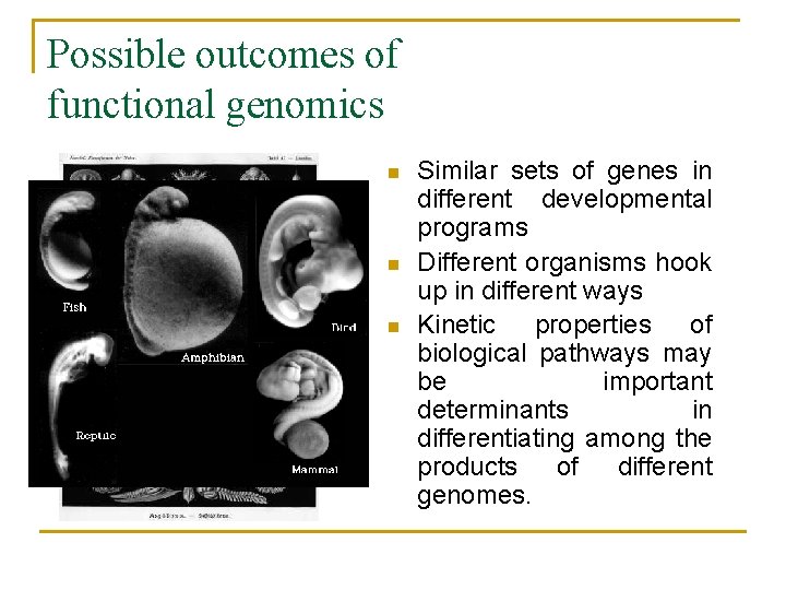 Possible outcomes of functional genomics n n n Similar sets of genes in different