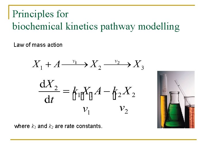 Principles for biochemical kinetics pathway modelling Law of mass action where k 1 and