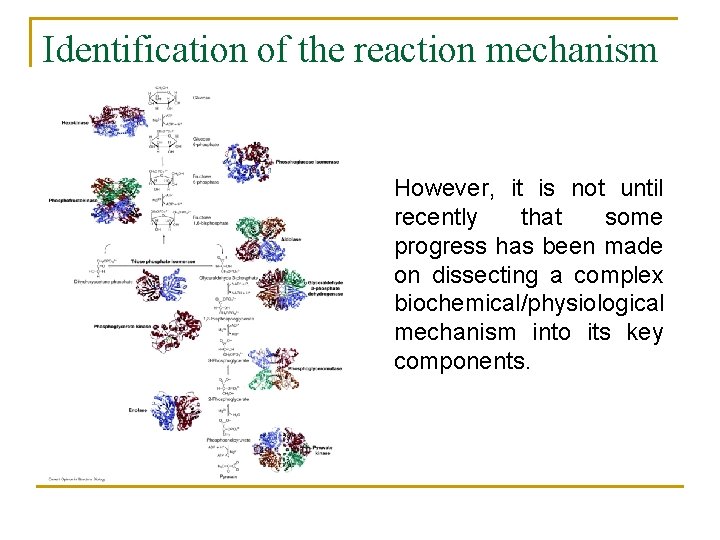 Identification of the reaction mechanism However, it is not until recently that some progress