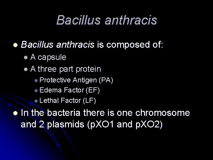 Bacillus anthracis l Bacillus anthracis is composed of: l. A capsule l A three