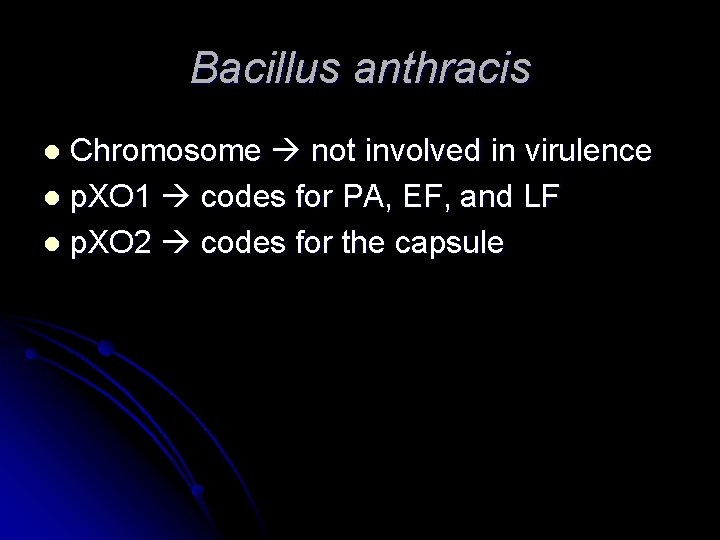 Bacillus anthracis Chromosome not involved in virulence l p. XO 1 codes for PA,
