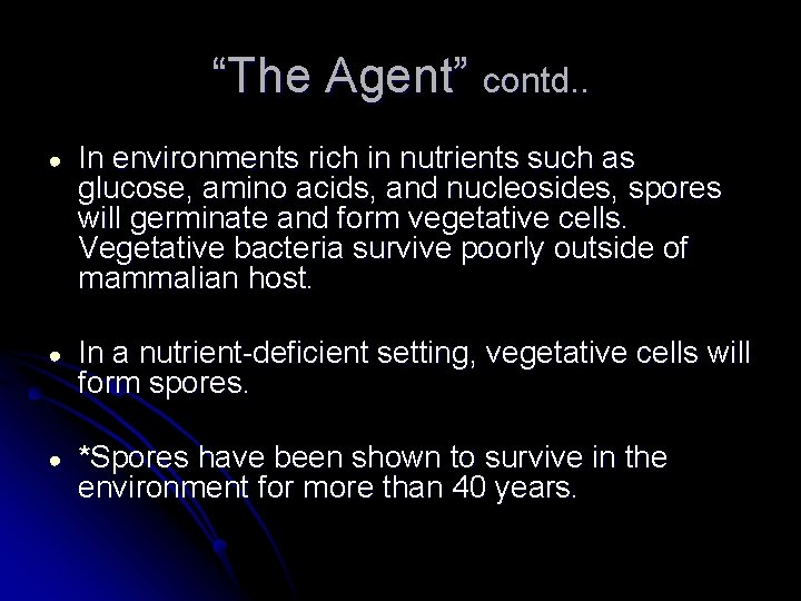 “The Agent” contd. . ● In environments rich in nutrients such as glucose, amino