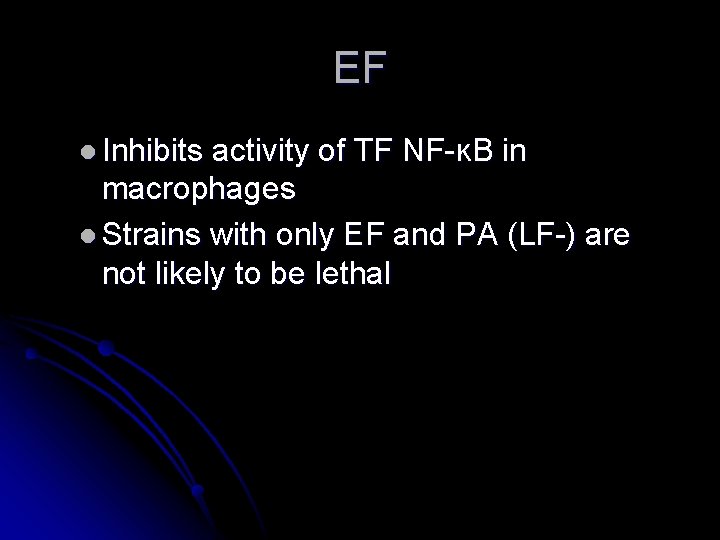 EF l Inhibits activity of TF NF-ĸB in macrophages l Strains with only EF