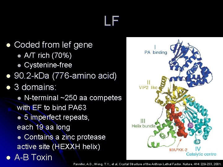 LF l Coded from lef gene l l A/T rich (70%) Cystenine-free 90. 2