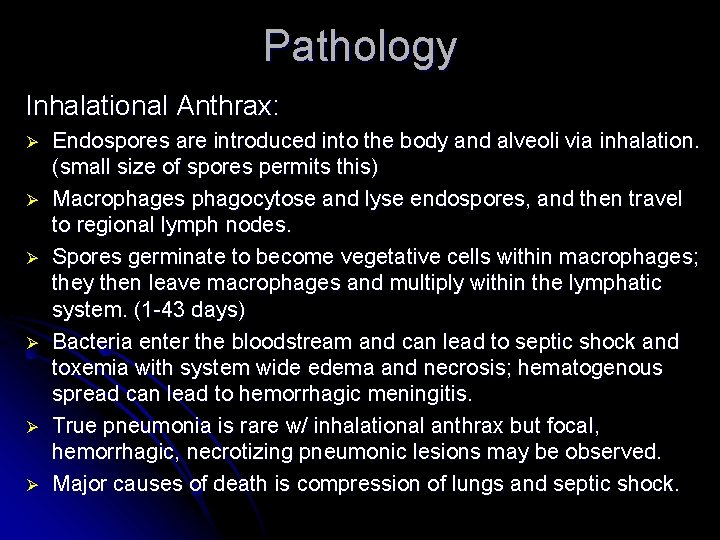 Pathology Inhalational Anthrax: Ø Ø Ø Endospores are introduced into the body and alveoli