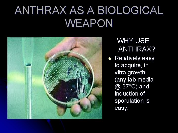 ANTHRAX AS A BIOLOGICAL WEAPON WHY USE ANTHRAX? l Relatively easy to acquire, in